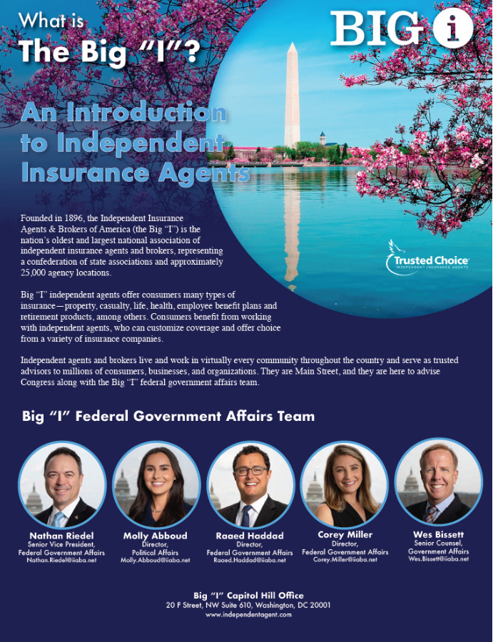 IIABA Legislative Team 2025.jpg